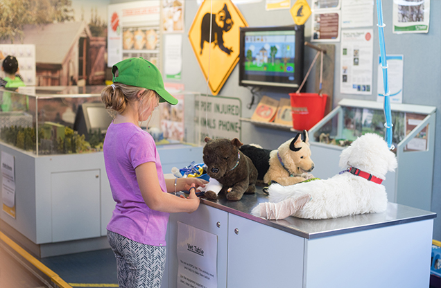 on board rspca queensland's emu van